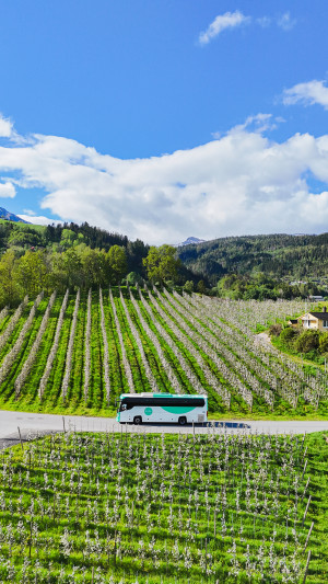 Tide-buss gjennom frukthager