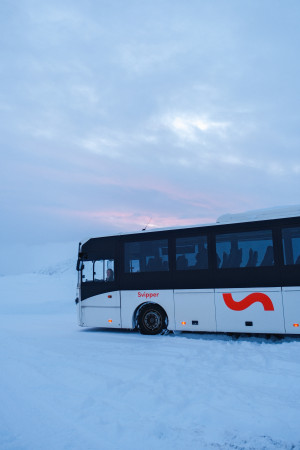 Martin og Lars Tore får dekt utdanningen