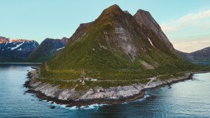 Tungeneset
