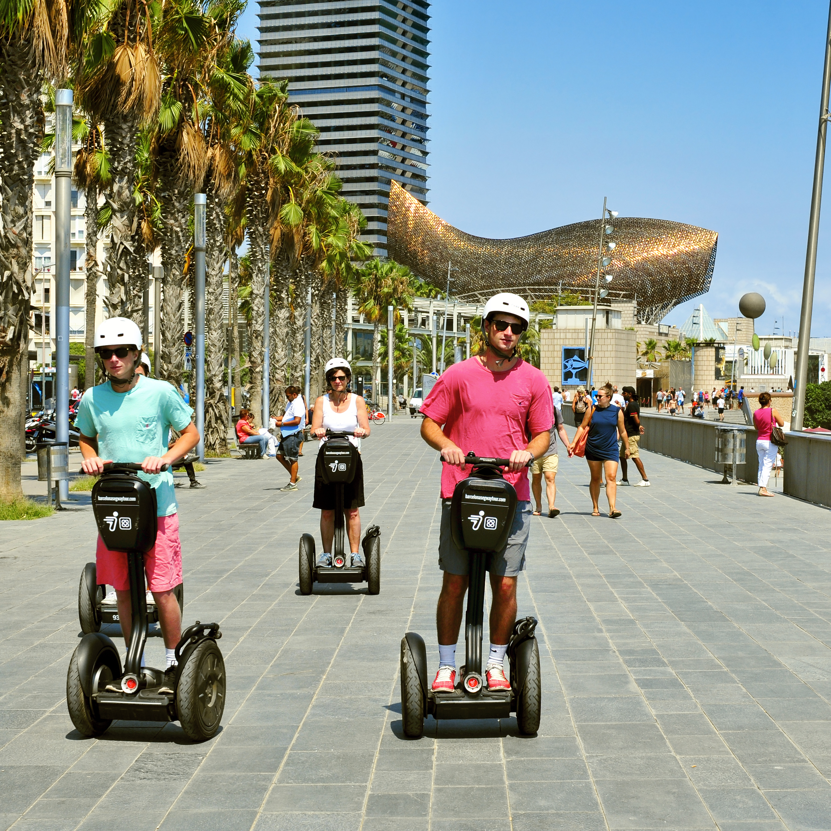 Sightseeing på to hjul - firmatur i Barcelona