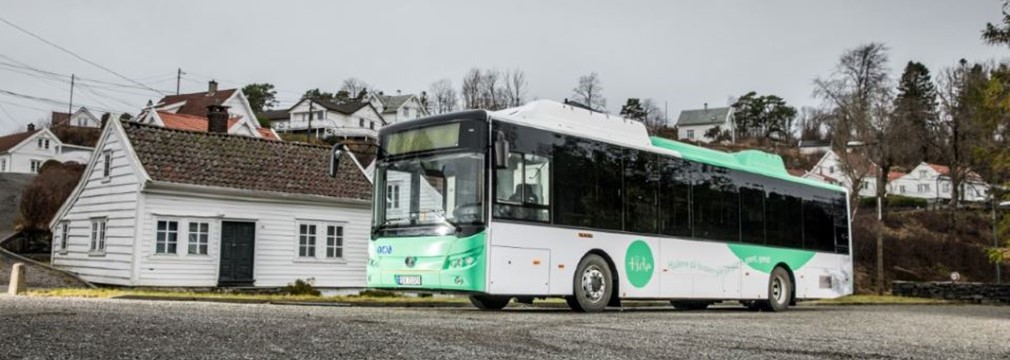 Elbuss Web
